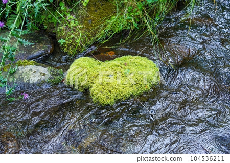 美麗的心形長滿青苔的岩石 美麗的心形長滿青苔的岩石 104536211