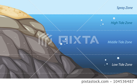 Rocky shore zonation education diagram 104536487