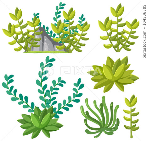 Set of succulent plants for decoration 104536585