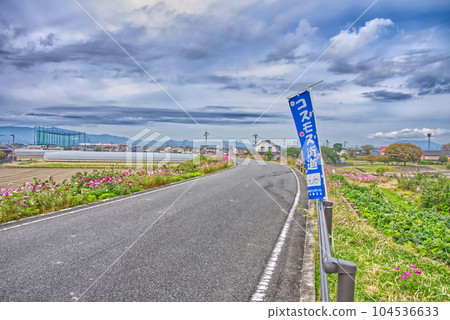 Cosmos Highway Climb 104536633