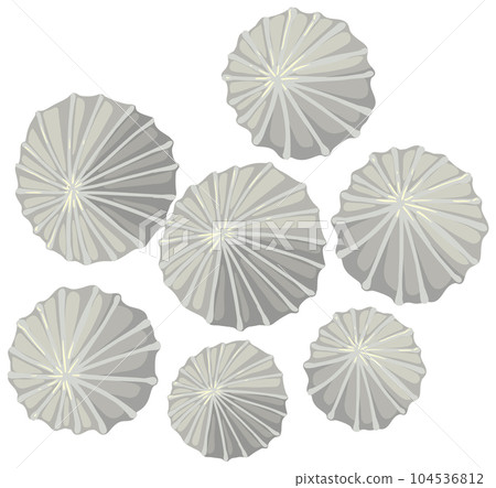Isolated limpet simple cartoon 104536812