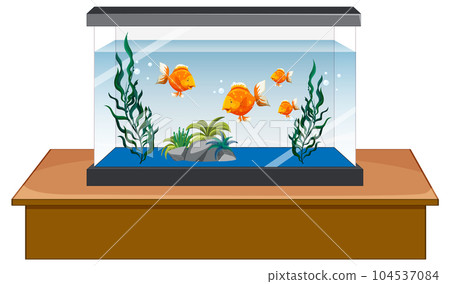 Aquarium tank with gold fishes on white background 104537084