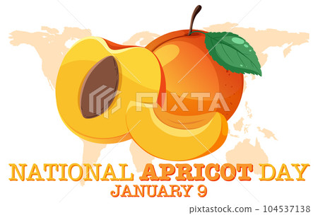 National Apricot Day Poster Design 104537138
