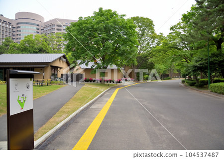 《Aichi Prefecture》Tsuruma Garden, Tsurumai Park, Nagoya City 《Aichi Prefecture》Tsuruma Garden, Tsurumai Park, Nagoya City 104537487