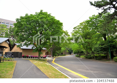 《Aichi Prefecture》Tsuruma Garden, Tsurumai Park, Nagoya City 104537488