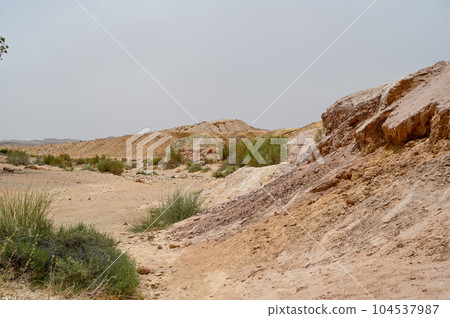 Beautiful dry landscape with colorful sand and cloudy skies in the Negev desert in Israel. 104537987