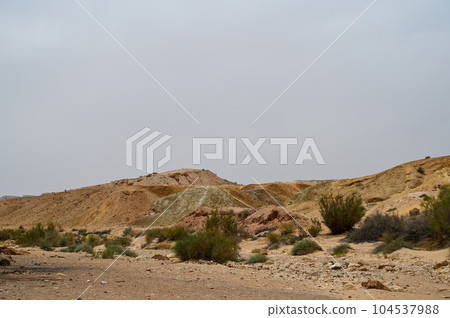 Beautiful dry landscape with colorful sand and cloudy skies in the Negev desert in Israel. 104537988