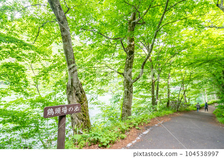 酮葉池(十二湖) 酮葉池(十二湖) 104538997