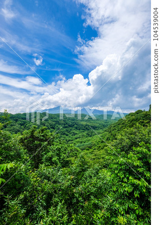 山梨縣北斗市八岳高原大橋的景色 山梨縣北斗市八岳高原大橋的景色 104539004