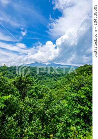 山梨縣北斗市八岳高原大橋的景色 山梨縣北斗市八岳高原大橋的景色 104539005