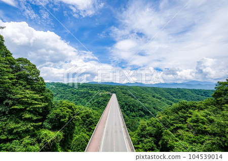 山梨縣北斗市八岳高原大橋的景色 104539014