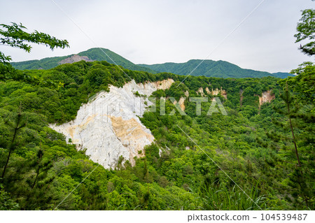 Japan Canyon 104539487