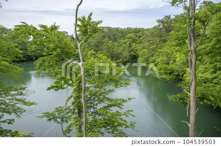 A lake in a forest full of nature A lake in a forest full of nature 104539503
