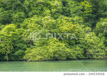 Lakeside Forest and Yamafuji Lakeside Forest and Yamafuji 104539508