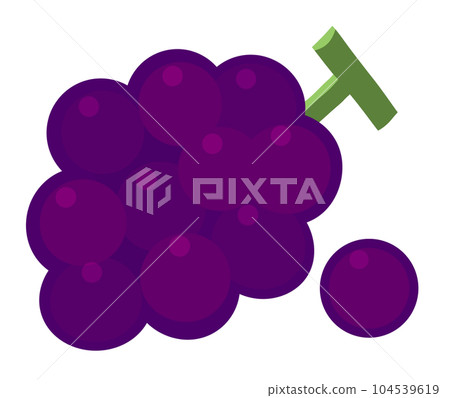 Simple and cute grape illustration 104539619