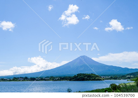 Lake Kawaguchi, Yamanashi Prefecture, lakeside lavender field and Mt. Fuji 104539700
