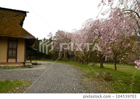 Tono Furusato Village in Spring 104539701
