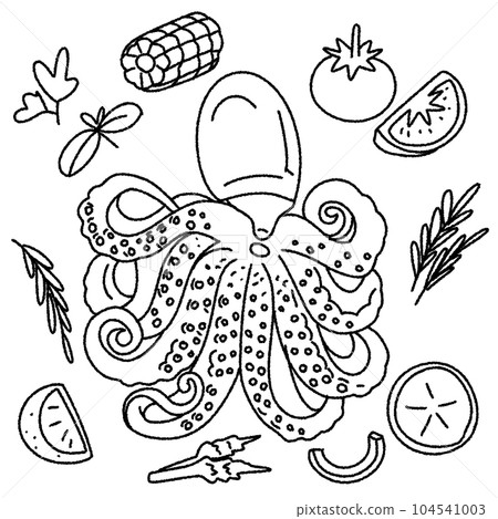 octopus octopus 104541003