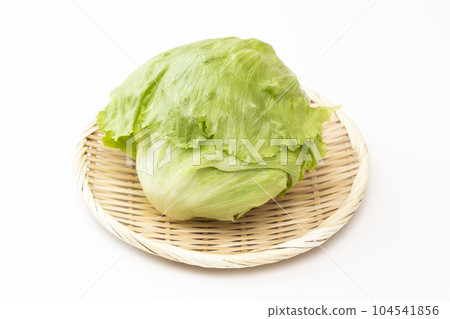Lettuce white back 104541856