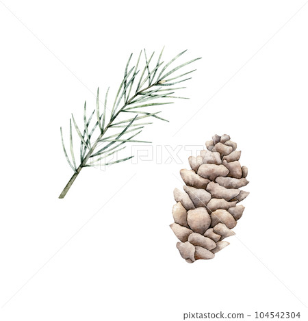 Set of pine branch and cones. Watercolor cone and twig of conifers evergreen tree. Hand drawn botanical illustration isolated image on background for Christmas greetings, cards, wallpapers, invitation Set of pine branch and cones. Watercolor cone and twig of conifers evergreen tree. Hand drawn botanical illustration isolated image on background for Christmas greetings, cards, wallpapers, invitation 104542304