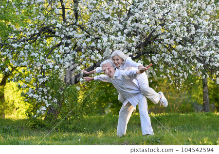 Portrait of beautiful happy senior couple in the park 104542594