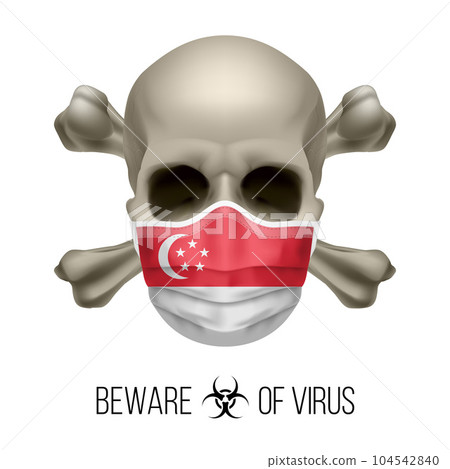 Human Skull 104542840