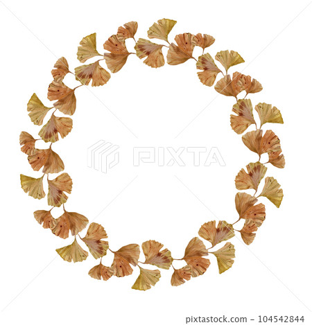Round frame with hand-painted autumn ginkgo leaves in watercolor for Mother's Day, Father's Day, Thanksgiving, Halloween. Botanical illustration with brown leaves of ginkgo biloba 104542844