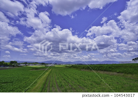  Blue sky and clouds 104543017