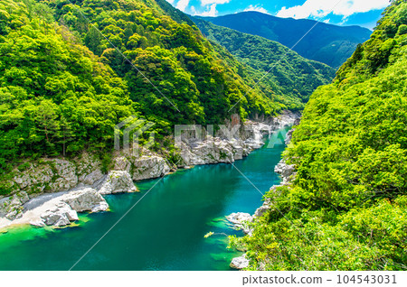 德島新綠大步危峽谷 104543031