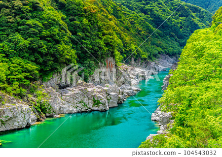 Tokushima Fresh Green Oboke Gorge 104543032