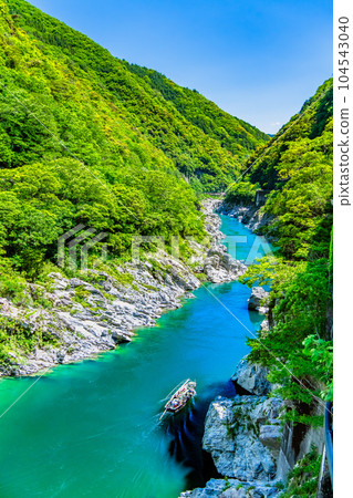 德島新綠大步危峽谷 德島新綠大步危峽谷 104543040