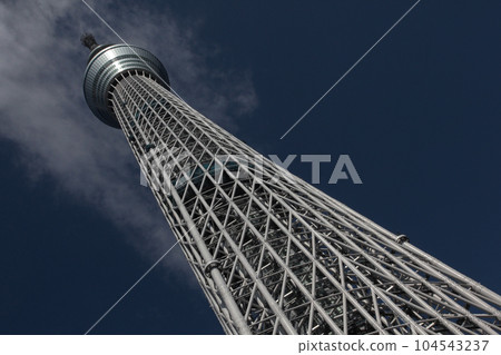 Structure of the complex damping structure of a high-rise tower Structure of the complex damping structure of a high-rise tower 104543237