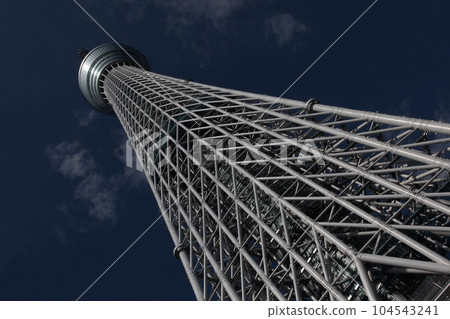 Structure of the complex damping structure of a high-rise tower Structure of the complex damping structure of a high-rise tower 104543241