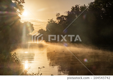 Mystical Morning: Sunlight Piercing through Misty River, photo of sun shining through the morning Mystical Morning: Sunlight Piercing through Misty River, photo of sun shining through the morning 104543742
