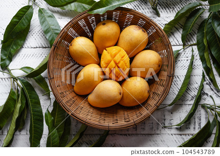yellow ripe mangoes in basket 104543789