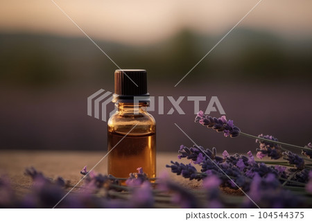 Fragrant Lavender Essential Oil in small brown glass Bottle on a wooden surface next to fresh Lavandula Flowers, field background. Fragrant Lavender Essential Oil in small brown glass Bottle on a wooden surface next to fresh Lavandula Flowers, field background. 104544375