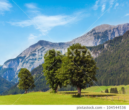 Alps summer view 104544536
