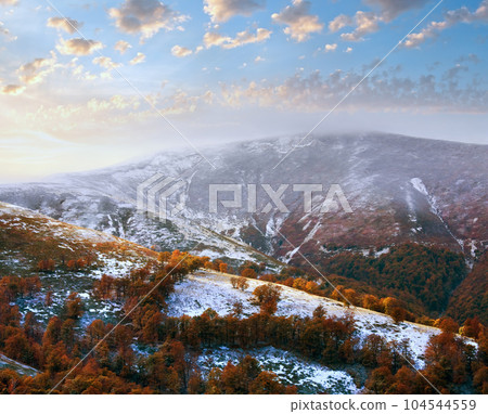 First winter snow and autumn colourful foliage on mountain 104544559