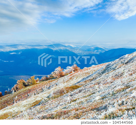 First winter snow and autumn colorful foliage on mountain First winter snow and autumn colorful foliage on mountain 104544560