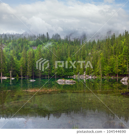 Small mountain forest lake 104544690