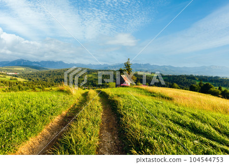 Summer mountain village outskirts with country path in front and Tatra range behind (Gliczarow Gorny, Poland) 104544753