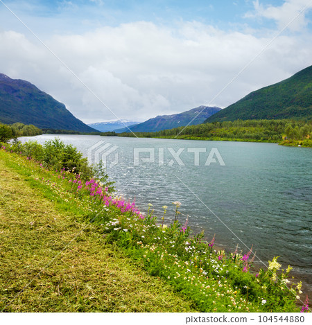 Summer Senja coast (Storelva, Norway) 104544880