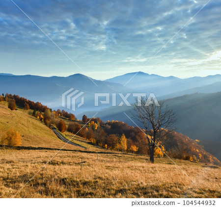 Rural road in autumn mountain. 104544932