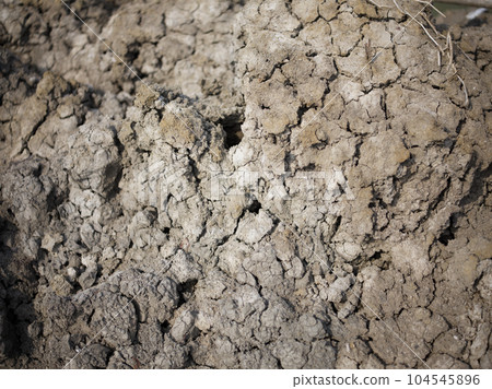 Dry cracked soil. Top view of the dry field . space for text Dry cracked soil. Top view of the dry field . space for text 104545896