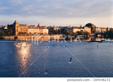 Birds flying over the Vltava River 104546272