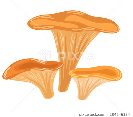 0603_mushroom 0603_mushroom 104546384