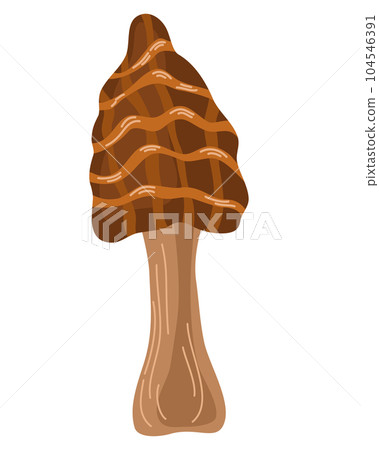 0612_mushroom 104546391