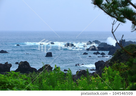 It is a beautiful scenery of Seogwipo coast in Jeju Island, a famous tourist attraction in Korea. 104546509