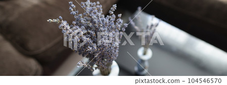Bouquet of aromatic dried lavender or lavandin flowers in white vase Bouquet of aromatic dried lavender or lavandin flowers in white vase 104546570