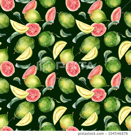 Whole guava and slices, leaves watercolor seamless pattern isolated on black. Tropical fruit, pink, yellow pulp guajava hand drawn. Design for wrapping, packaging, textile, background, wallpaper Whole guava and slices, leaves watercolor seamless pattern isolated on black. Tropical fruit, pink, yellow pulp guajava hand drawn. Design for wrapping, packaging, textile, background, wallpaper 104546876